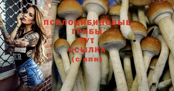 MDMA Бородино