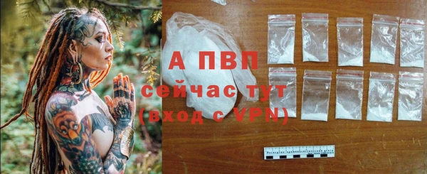 Альфа ПВП Протвино