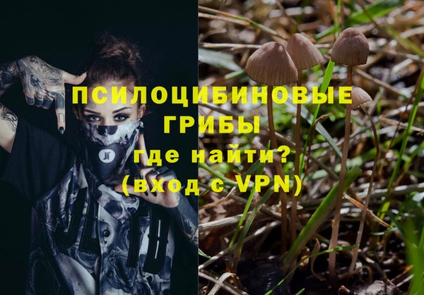 apvp Бугульма