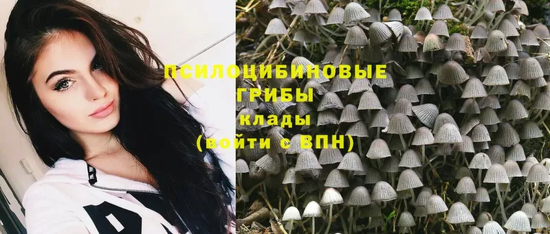 Галлюциногенные грибы MAGIC MUSHROOMS  Верещагино 